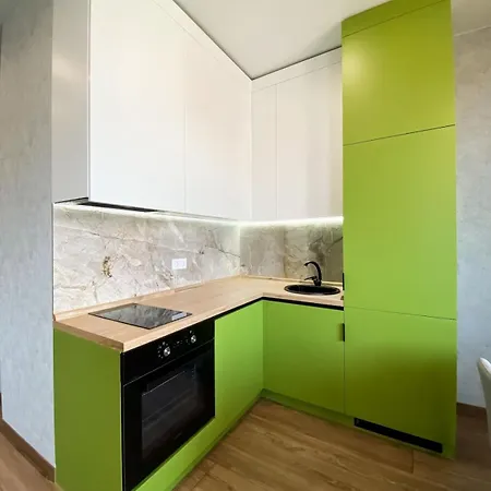 Loft - 43m With Modern Renovation オデッサ